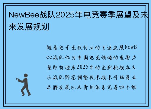 NewBee战队2025年电竞赛季展望及未来发展规划